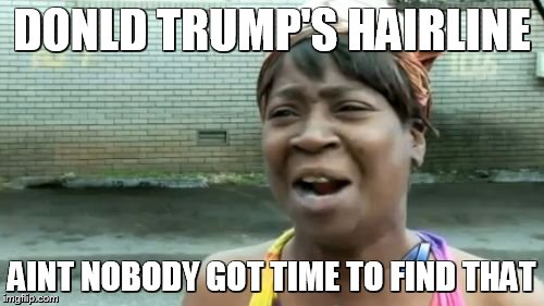 Ain't Nobody Got Time For That |  DONLD TRUMP'S HAIRLINE; AINT NOBODY GOT TIME TO FIND THAT | image tagged in memes,aint nobody got time for that | made w/ Imgflip meme maker