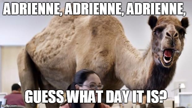 Guess what day it is......,EMPIRE WEDNESDAY  | ADRIENNE, ADRIENNE, ADRIENNE, GUESS WHAT DAY IT IS? | image tagged in guess what day it is...... empire wednesday  | made w/ Imgflip meme maker