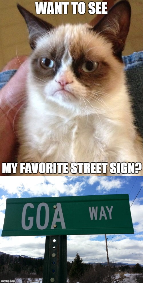 Well?  What did you expect? |  WANT TO SEE; MY FAVORITE STREET SIGN? | image tagged in memes,grumpy cat,funny,street signs,funny street signs,new feature | made w/ Imgflip meme maker