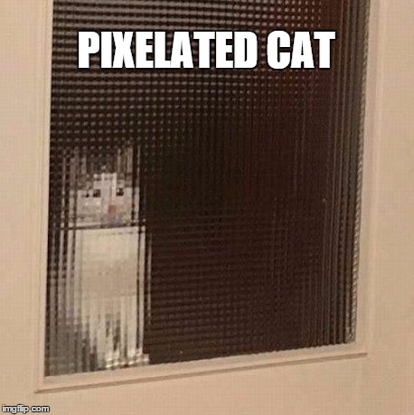 pixelated cat | PIXELATED CAT | image tagged in memes,funny cat memes,cat | made w/ Imgflip meme maker
