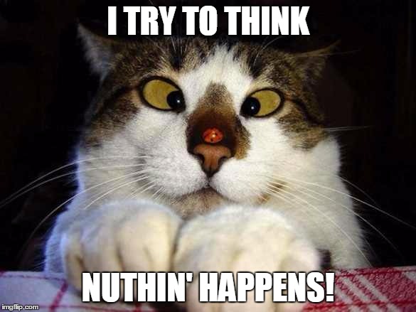 wooop-wop-wop-wop | I TRY TO THINK; NUTHIN' HAPPENS! | image tagged in memes,cat | made w/ Imgflip meme maker