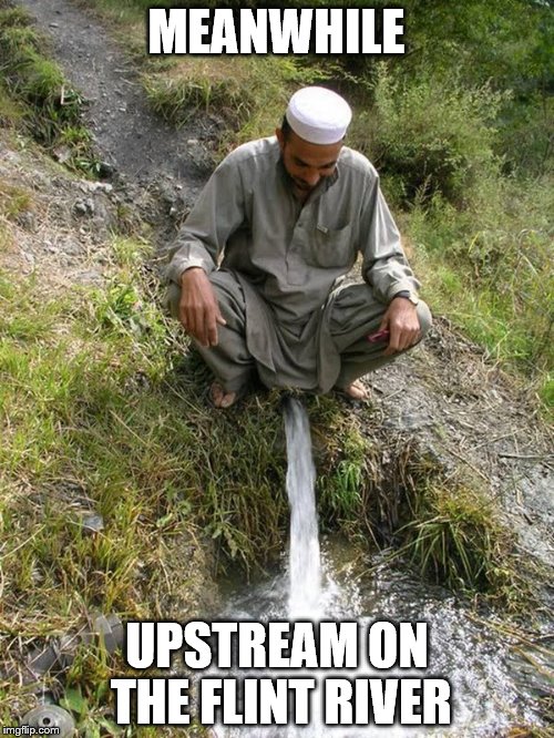 MEANWHILE UPSTREAM ON THE FLINT RIVER | made w/ Imgflip meme maker
