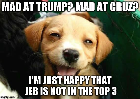 dogsmile2 | MAD AT TRUMP? MAD AT CRUZ? I'M JUST HAPPY THAT JEB IS NOT IN THE TOP 3 | image tagged in dogsmile2 | made w/ Imgflip meme maker