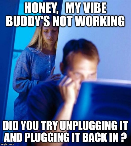 Redditor's Wife Meme | HONEY,   MY VIBE BUDDY'S NOT WORKING; DID YOU TRY UNPLUGGING IT AND PLUGGING IT BACK IN ? | image tagged in memes,redditors wife | made w/ Imgflip meme maker