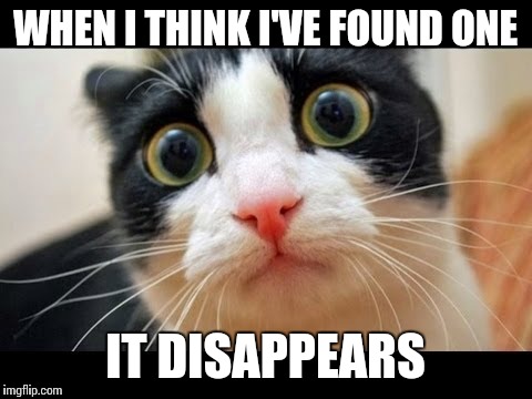 WHEN I THINK I'VE FOUND ONE IT DISAPPEARS | made w/ Imgflip meme maker