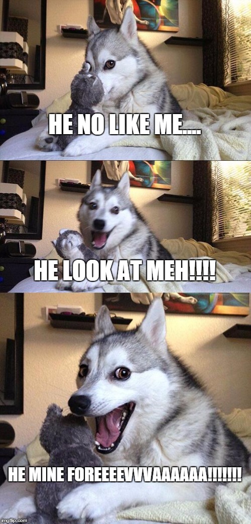 shy girls
 | HE NO LIKE ME.... HE LOOK AT MEH!!!! HE MINE FOREEEEVVVAAAAAA!!!!!!! | image tagged in memes,bad pun dog | made w/ Imgflip meme maker