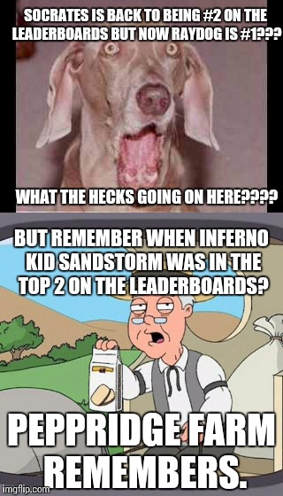 Leaderboard chaos | SOCRATES IS BACK TO BEING #2 ON THE LEADERBOARDS BUT NOW RAYDOG IS #1??? WHAT THE HECKS GOING ON HERE???? BUT REMEMBER WHEN INFERNO KID SANDSTORM WAS IN THE TOP 2 ON THE LEADERBOARDS? PEPPRIDGE FARM REMEMBERS. | image tagged in memes,funny,leaderboard,raydog,socrates,infernokid-sandstorm | made w/ Imgflip meme maker