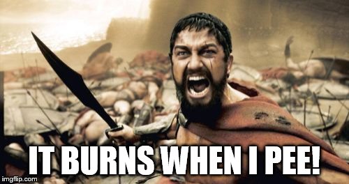 Sparta Leonidas Meme | IT BURNS WHEN I PEE! | image tagged in memes,sparta leonidas | made w/ Imgflip meme maker