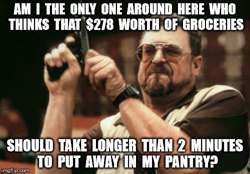 And they make me bring my own bags too. | AM  I  THE  ONLY  ONE  AROUND  HERE  WHO  THINKS  THAT  $278  WORTH  OF  GROCERIES; SHOULD  TAKE  LONGER  THAN  2  MINUTES  TO  PUT  AWAY  IN  MY  PANTRY? | image tagged in memes,am i the only one around here | made w/ Imgflip meme maker