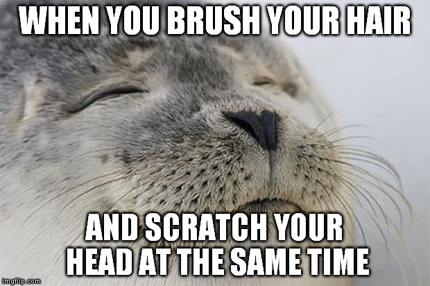 Satisfied Seal Meme | WHEN YOU BRUSH YOUR HAIR; AND SCRATCH YOUR HEAD AT THE SAME TIME | image tagged in memes,satisfied seal,AdviceAnimals | made w/ Imgflip meme maker