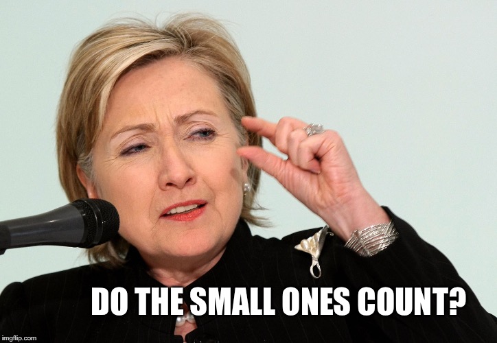 DO THE SMALL ONES COUNT? | image tagged in hilliary | made w/ Imgflip meme maker