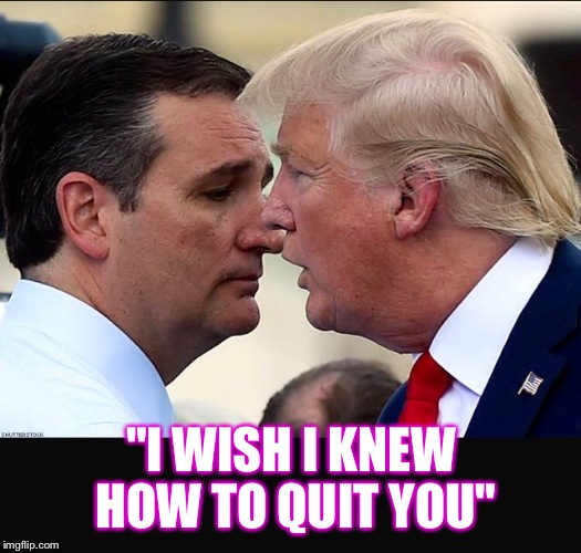 True Bromance | "I WISH I KNEW HOW TO QUIT YOU" | image tagged in ted cruz,donald trump,new,politicians,2016 election,feel the bern | made w/ Imgflip meme maker