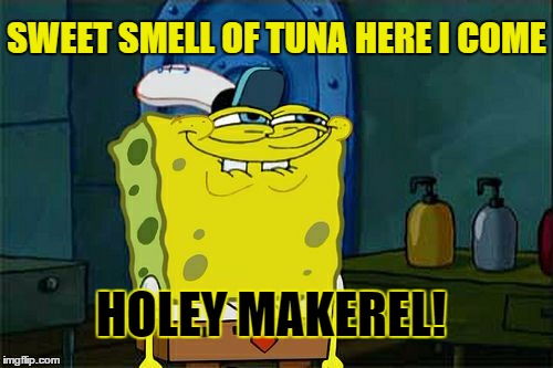 Don't You Squidward | SWEET SMELL OF TUNA HERE I COME; HOLEY MAKEREL! | image tagged in memes,dont you squidward | made w/ Imgflip meme maker