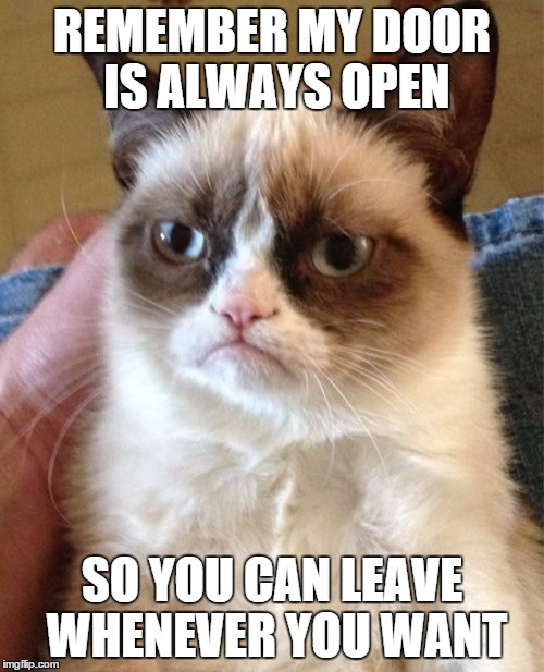 Grumpy Cat | REMEMBER MY DOOR IS ALWAYS OPEN; SO YOU CAN LEAVE WHENEVER YOU WANT | image tagged in memes,grumpy cat | made w/ Imgflip meme maker