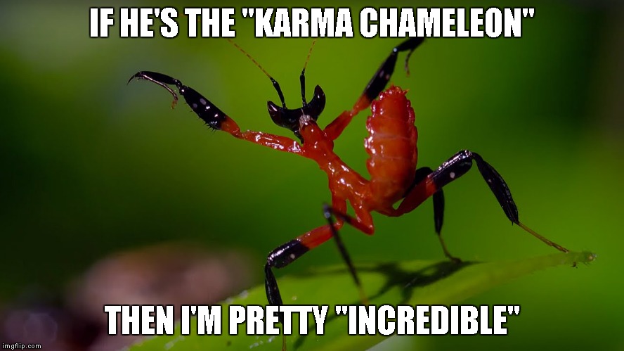 IF HE'S THE "KARMA CHAMELEON" THEN I'M PRETTY "INCREDIBLE" | made w/ Imgflip meme maker
