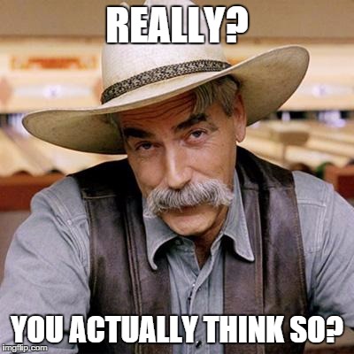 When someone says something incredibly wrong of a forum... | REALLY? YOU ACTUALLY THINK SO? | image tagged in sarcasm cowboy | made w/ Imgflip meme maker