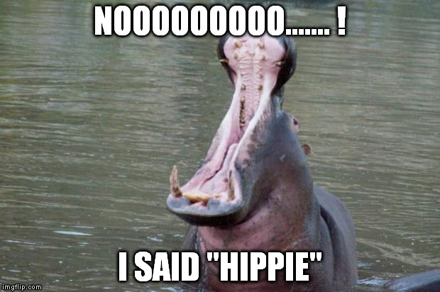 REINCARNATION:  GONE WRONG | NOOOOOOOOO....... ! I SAID "HIPPIE" | image tagged in hippo mouth open | made w/ Imgflip meme maker
