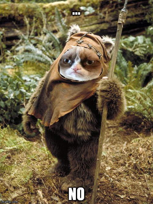 Grumpy Ewok | ... NO | image tagged in grumpy ewok | made w/ Imgflip meme maker