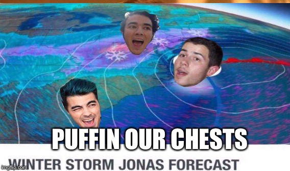 Winter storm Jonas | PUFFIN OUR CHESTS | image tagged in jonas brothers,winter storm | made w/ Imgflip meme maker