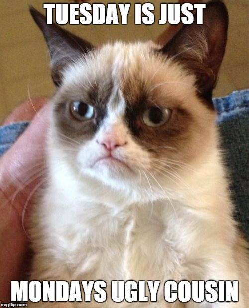 Grumpy Cat | TUESDAY IS JUST; MONDAYS UGLY COUSIN | image tagged in memes,grumpy cat | made w/ Imgflip meme maker