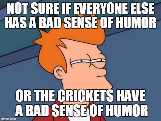 Futurama Fry Meme | NOT SURE IF EVERYONE ELSE HAS A BAD SENSE OF HUMOR OR THE CRICKETS HAVE A BAD SENSE OF HUMOR | image tagged in memes,futurama fry | made w/ Imgflip meme maker