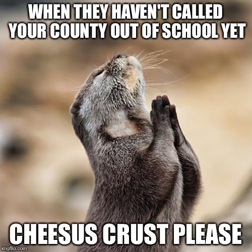 Praying Otter | WHEN THEY HAVEN'T CALLED YOUR COUNTY OUT OF SCHOOL YET; CHEESUS CRUST PLEASE | image tagged in praying otter | made w/ Imgflip meme maker