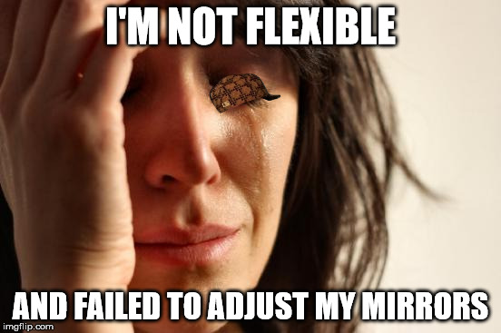 First World Problems Meme | I'M NOT FLEXIBLE AND FAILED TO ADJUST MY MIRRORS | image tagged in memes,first world problems,scumbag | made w/ Imgflip meme maker