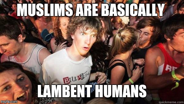 Realization Ralph | MUSLIMS ARE BASICALLY; LAMBENT HUMANS | image tagged in realization ralph | made w/ Imgflip meme maker