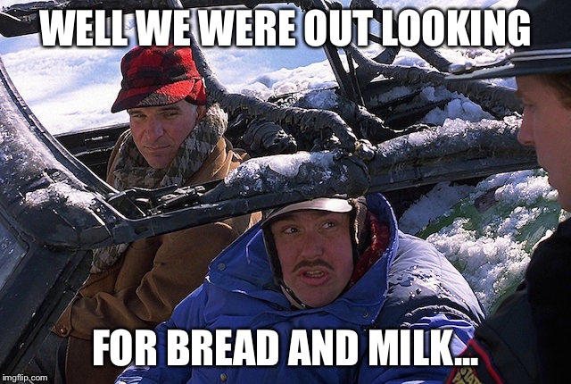 Bread and Milk | WELL WE WERE OUT LOOKING; FOR BREAD AND MILK... | image tagged in john candy,planes,trains,snow,milk,bread | made w/ Imgflip meme maker