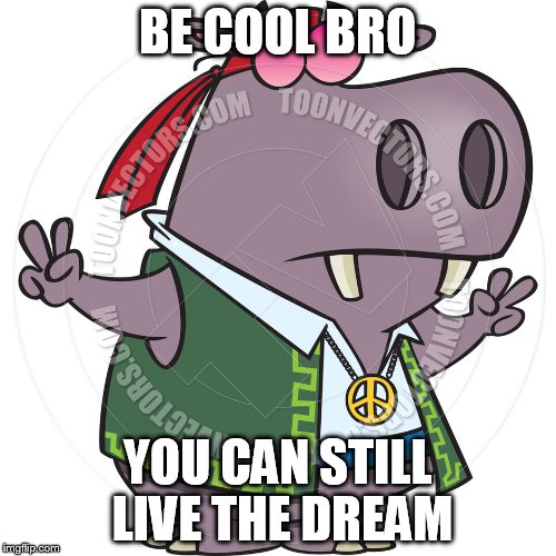 BE COOL BRO YOU CAN STILL LIVE THE DREAM | made w/ Imgflip meme maker