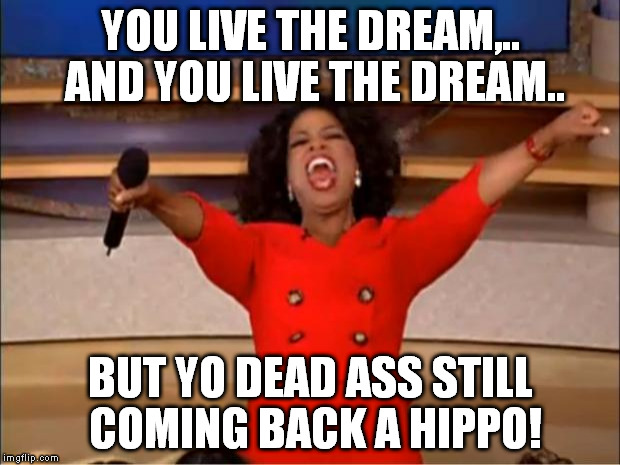 Oprah You Get A Meme | YOU LIVE THE DREAM,.. AND YOU LIVE THE DREAM.. BUT YO DEAD ASS STILL COMING BACK A HIPPO! | image tagged in memes,oprah you get a | made w/ Imgflip meme maker