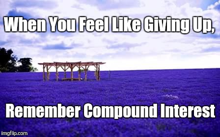 When You Feel Like Giving Up, Remember Compound Interest | image tagged in lavender field | made w/ Imgflip meme maker