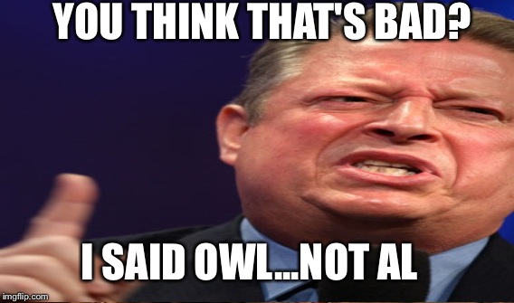 YOU THINK THAT'S BAD? I SAID OWL...NOT AL | made w/ Imgflip meme maker