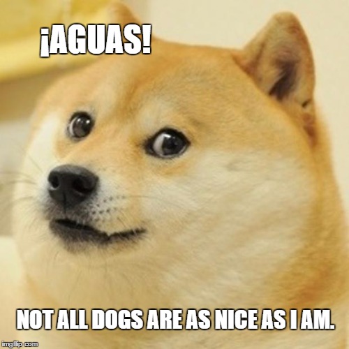 Doge Meme | ¡AGUAS! NOT ALL DOGS ARE AS NICE AS I AM. | image tagged in memes,doge | made w/ Imgflip meme maker