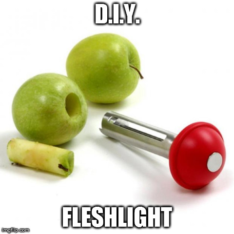 D.I.Y. FLESHLIGHT | image tagged in diy | made w/ Imgflip meme maker