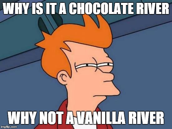 Futurama Fry Meme | WHY IS IT A CHOCOLATE RIVER WHY NOT A VANILLA RIVER | image tagged in memes,futurama fry | made w/ Imgflip meme maker