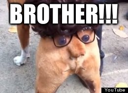 Butt | BROTHER!!! | image tagged in butt | made w/ Imgflip meme maker