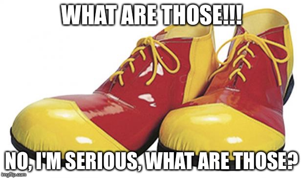 Clown Shoes | WHAT ARE THOSE!!! NO, I'M SERIOUS, WHAT ARE THOSE? | image tagged in clown shoes | made w/ Imgflip meme maker
