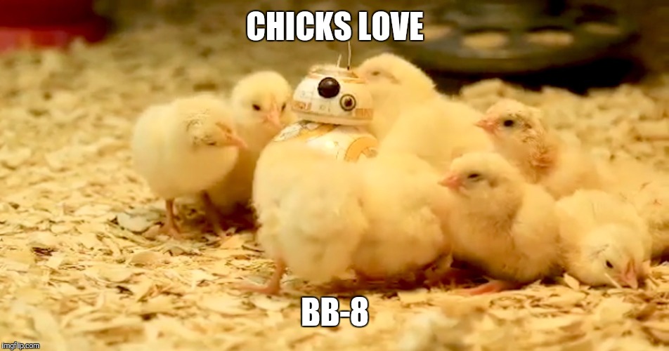 Chicks love bb8 | CHICKS LOVE; BB-8 | image tagged in bb8,starwars | made w/ Imgflip meme maker