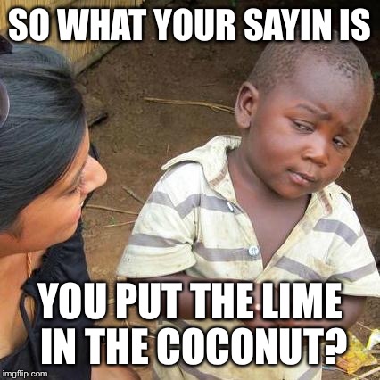 What you say | SO WHAT YOUR SAYIN IS; YOU PUT THE LIME IN THE COCONUT? | image tagged in memes,third world skeptical kid,funny memes | made w/ Imgflip meme maker