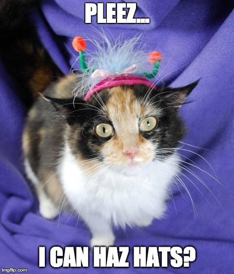 image tagged in cats,hats,cute,animals | made w/ Imgflip meme maker