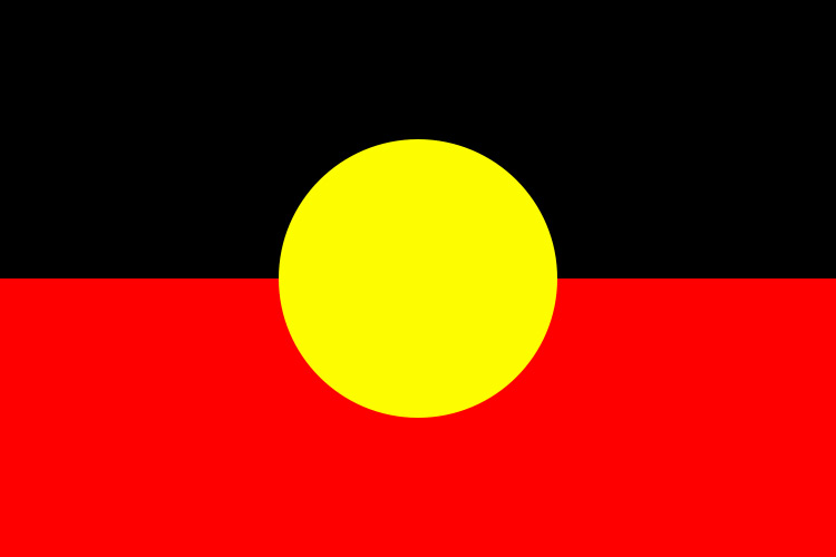 High Quality Australian indigenous flag Blank Meme Template