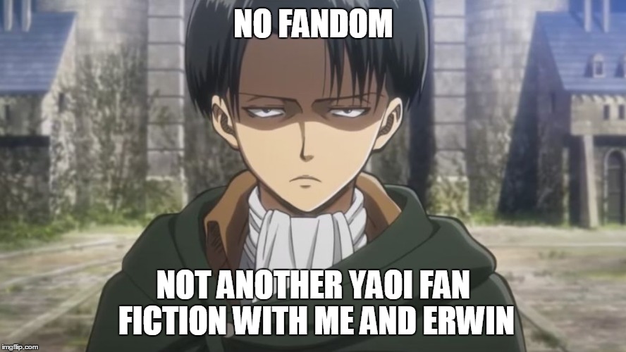 No Fandom | NO FANDOM; NOT ANOTHER YAOI FAN FICTION WITH ME AND ERWIN | image tagged in meme,snk,attack on titan,levi no | made w/ Imgflip meme maker