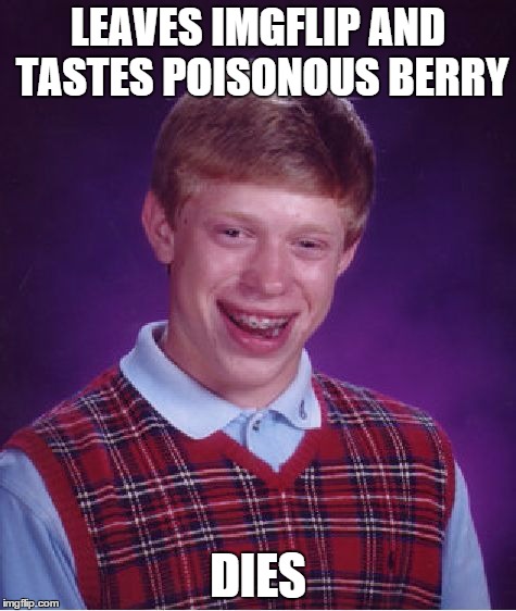 Bad Luck Brian Meme | LEAVES IMGFLIP AND TASTES POISONOUS BERRY DIES | image tagged in memes,bad luck brian | made w/ Imgflip meme maker
