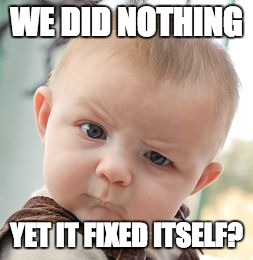 Skeptical Baby | WE DID NOTHING; YET IT FIXED ITSELF? | image tagged in memes,skeptical baby | made w/ Imgflip meme maker