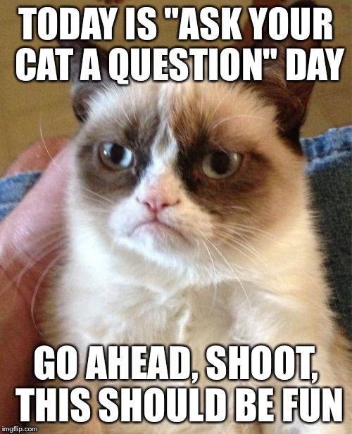 Grumpy Cat | TODAY IS "ASK YOUR CAT A QUESTION" DAY; GO AHEAD, SHOOT, THIS SHOULD BE FUN | image tagged in memes,grumpy cat | made w/ Imgflip meme maker