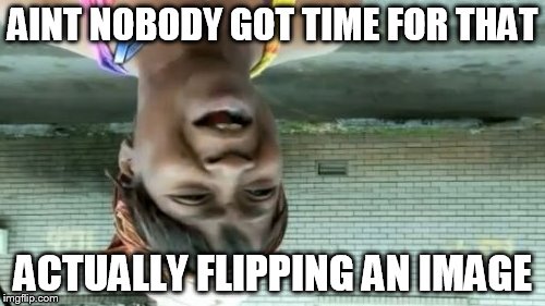 Ain't Nobody Got Time For That Meme | AINT NOBODY GOT TIME FOR THAT; ACTUALLY FLIPPING AN IMAGE | image tagged in memes,aint nobody got time for that | made w/ Imgflip meme maker