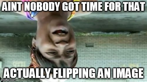 Ain't Nobody Got Time For That | AINT NOBODY GOT TIME FOR THAT; ACTUALLY FLIPPING AN IMAGE | image tagged in memes,aint nobody got time for that | made w/ Imgflip meme maker