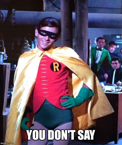 Sassy Robin | YOU DON'T SAY | image tagged in sassy robin | made w/ Imgflip meme maker