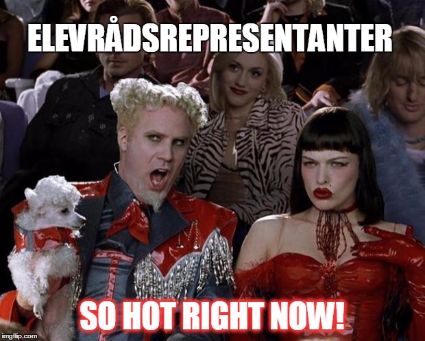 Mugatu So Hot Right Now | ELEVRÅDSREPRESENTANTER; SO HOT RIGHT NOW! | image tagged in memes,mugatu so hot right now | made w/ Imgflip meme maker